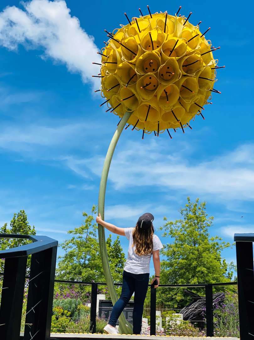Discover a day trip like no other at Sculptureum